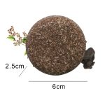 9f935d287cd0b2edd3a13f9f914efdec